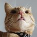 mar :p (@maaaarqq) Twitter profile photo mar :p (@maaaarqq) Twitter profile photo