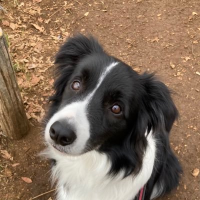 aberossifumi's profile picture. 