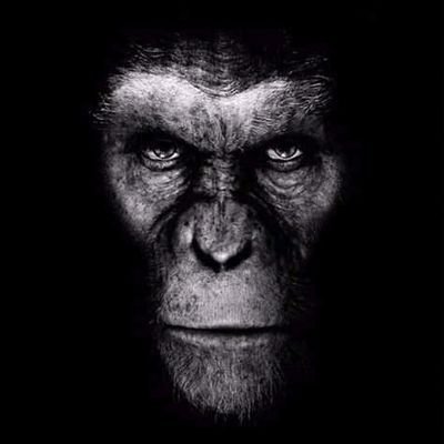 fizo2's profile picture. #cathloic. My bible nd rosary are my greatest weapon.