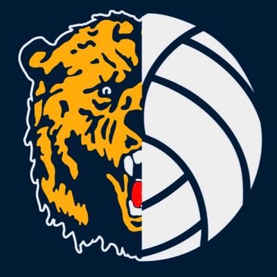 Bears_Volley Profile Picture