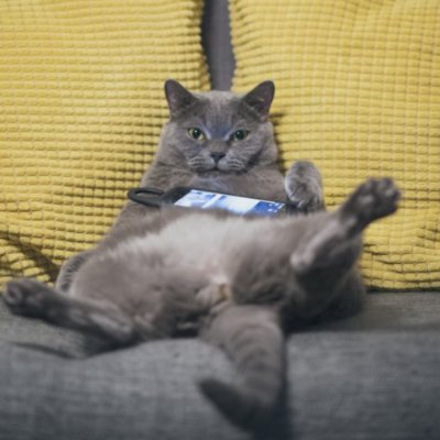 GostSn's profile picture. 