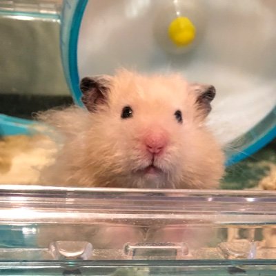 runa8866's profile picture. お気に入り…Mr.Children
                     広島・豊島大橋