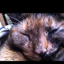 Kay Rieder - @1krieder - Twitter