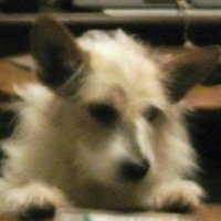 Mark Graben (@markgraben) 's Twitter Profile