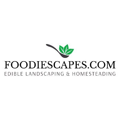 Edible Landscaping & Homesteading & DIY