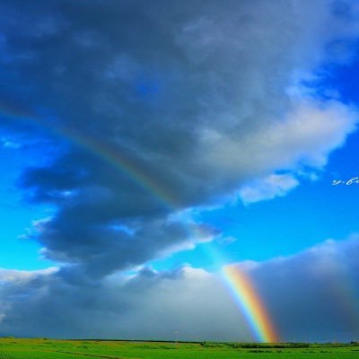 wZ386eh4JPdM9vw's profile picture. 温泉♨️旅行と競馬が楽しみで日々マイペースで過ごしています。よろしくお願いします！