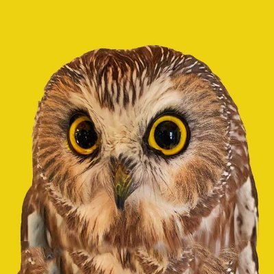 ijnsinx's profile picture.