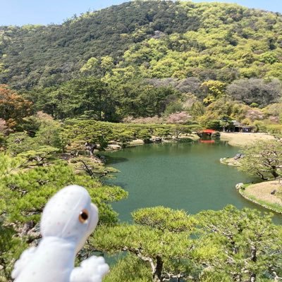 ヤモリのぬいぐるみ作ってた蟹の日常垢。主食は梅干しおにぎり🍙、あと納豆。