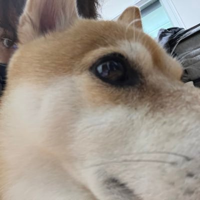 まっど（BUZZ)さんのプロフィール画像