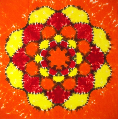 I am an Artist.  I love Tie Dye. I live with my husband, two teenagers, two dogs, and two cats. It is a whirlwind of creativity, fun and fur here.