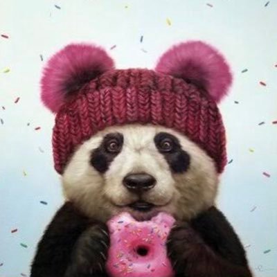 PandaBearMiami Profile Picture