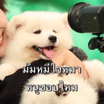 #EXO OT9 เมนวีวี่ โทเบ่น OSH PCY BBH #614 #941 #なにわ男子⭐️ #りゅちぇ🧡 #大ちゃん❤️ #น้องป๋อ🦁 #พี่จ้าน🐰 #SnowMan⛄️#目黒蓮 #東方神起 #めめみち #大西畑 #Tawan_V 『ISFJ』