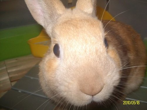 hakase_indy_hab's profile picture. I'm 53,Japanese male. I was in University of NorthTexas as an exchange student about 30 years ago.ポッドキャスト好き。ボランティアや地域コミュニティ活動、福祉業界に興味が尽きない、好奇心旺盛オジサン。篠笛、和太鼓初心者。