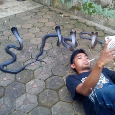 astralcheeks's profile picture. 🤨