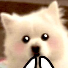 takumilod's profile picture. 自由気ままに言いたいことを言う。  知るかよ。　俺のアカウントだよ。