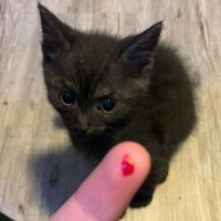 Lee (@michael34793313) 's Twitter Profile