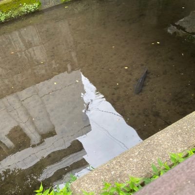 C3LnIRowjlxsI8v's profile picture. 