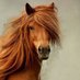 TheHorseMen (@thehorsemen929) Twitter profile photo TheHorseMen (@thehorsemen929) Twitter profile photo
