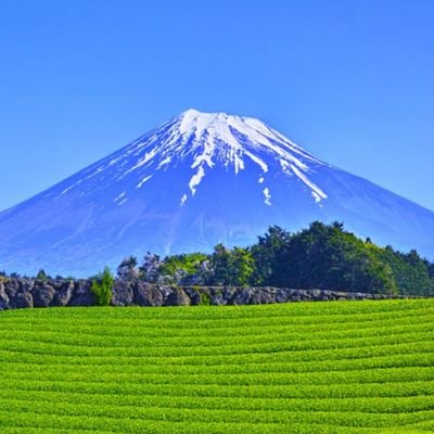 機種変更したら以前の垢が引き継げなくて新たに作りました。素晴らしい日本と富士山が好きな静岡県民(静岡三区)です。無言フォローお許しください。
