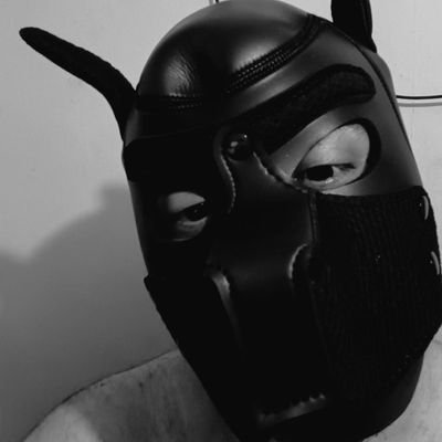 pup_azul's profile picture. Just a horny pup wanting to give cuddles and alot of sexy downtime