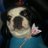 bbagzfn's profile image
