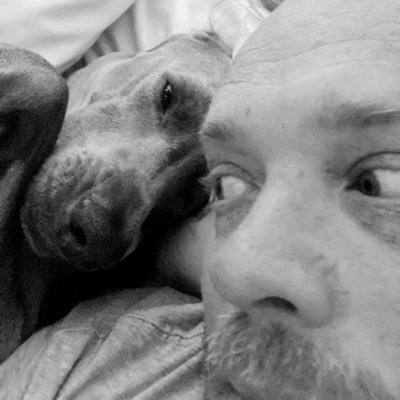 Teacher, partnered in life, mad Freo and Hull City tragic, two kids, a weimaraner #freoforever.