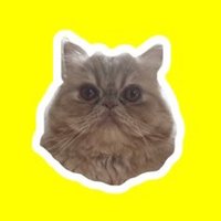 ムック (@310muck) 's Twitter Profile Photo ムック (@310muck) 's Twitter Profile Photo