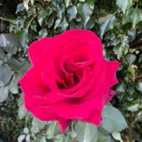 Simon Ogdon (@hitthespace) 's Twitter Profile