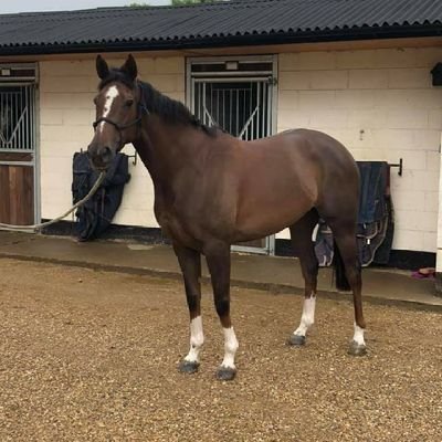 ByPatron80's profile picture. CEO CARREFOUR 
OZTECHFLY
VERSAR
Yarış Yazarı,
At Yarışı Tahminleri