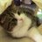 ねこねこコロネのアイコン