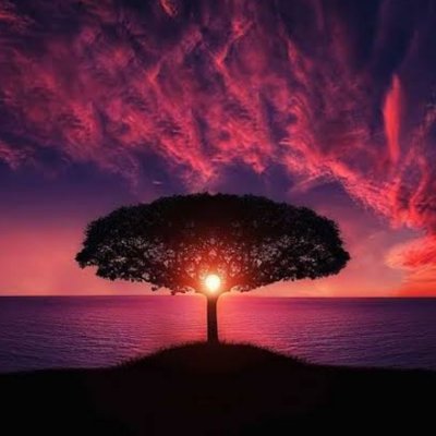 Shalini46630125's profile picture. Happiness is the best makeup🥰