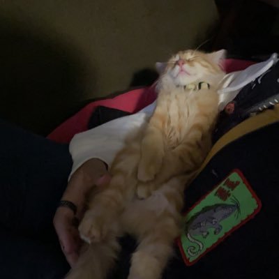 BitchBwain's profile picture. If I follow you you're either hot or funny (24)