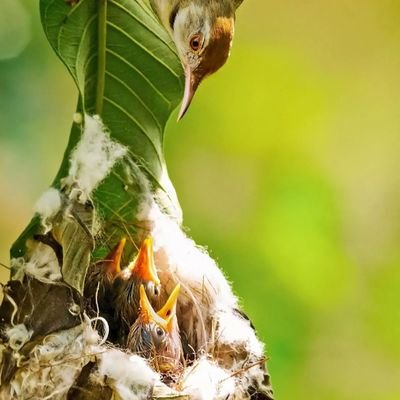 ಕನ್ನಡ ಪ್ರೇಮಿ, ದ್ವೇಷ ರಾಜಕೀಯ ಮತು ಜಾತೀಯತೆ ವಿರುಧ್ಧ. I love my India, cricket and nature. Retweets are not endorsements.Likes does not mean approval