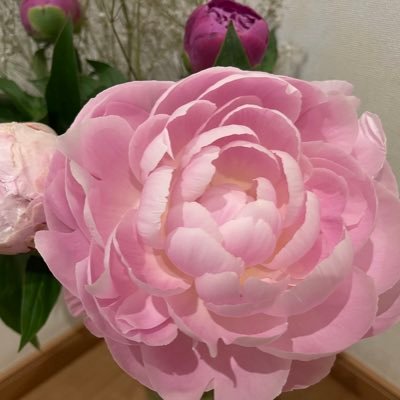 m2864129128's profile picture. 所得制限の理不尽さに憤り💢                 副業・投資フォロー即ブロックします。