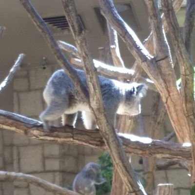 旅行、読書、お酒、美味しい食べ物、阪神タイガース、大相撲が好きな銀行バックオフィス部門に勤務しているおばちゃん役席者です。
発信は少ないです。
2023年5月 ようやくCFPになりました。
無言フォロー失礼します。