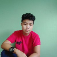 Jan Wynn Prieto 👮 (@gtanarmycaptain) 's Twitter Profile