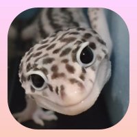 まろん (@pinecan83) 's Twitter Profile