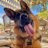 GSDDE // Fibo çalışması - GSD DENIZCILIK 26 zHnqkV86 normal - GSDDE // Fibo çalışması - GSD DENIZCILIK