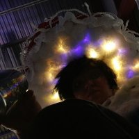 BIRDS ALT (@seabirdalt) 's Twitter Profile