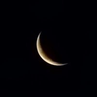 سقى الأيام (@modar_alabas) 's Twitter Profile