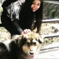 Maryam shamim (@maryamshamim29) 's Twitter Profile
