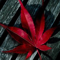 Rubaish (@1m_wish) 's Twitter Profile Photo Rubaish (@1m_wish) 's Twitter Profile Photo