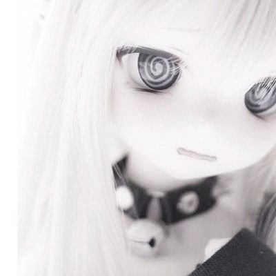 どらこさんのプロフィール画像