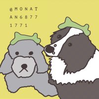 ボーダーコリーもなたん&ダップーのピーたん日記 2021起 (@monatan68771771) 's Twitter Profile