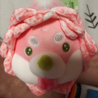 快乐的孩子 (@kuailedehaizi1) 's Twitter Profile