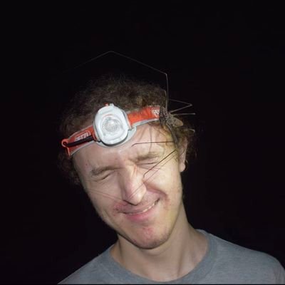 JoshuaHufton97's profile picture. PhD, Uppsala university, immunity & epigenetics in the Swedish sand lizard 🦎 MRes, University of Bristol, Studied epigenetic mechanisms in cichlid fishes 🐟