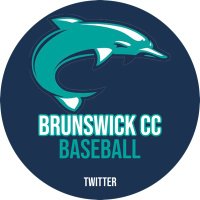 BCC Dolphins(@bcc_dolphins) 's Twitter Profile Photo