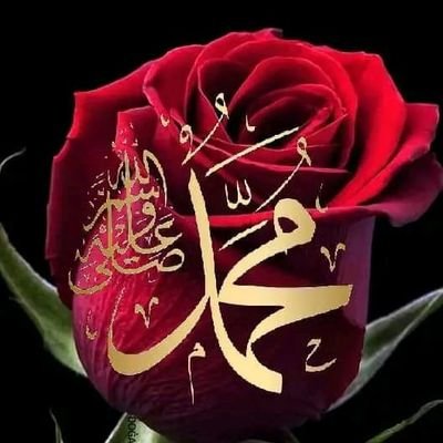 Ani_joyy's profile picture. There is no crown without a cross

lover of red❤️❤️❤️