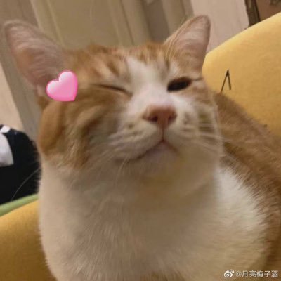 dkphhhd's profile picture. dkphhh=🐱+💻+📱+📝+🎮+📖 ｜我把转发当收藏用｜暂时是这个世界的轻度用户