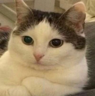 Fernand24399703's profile picture. 